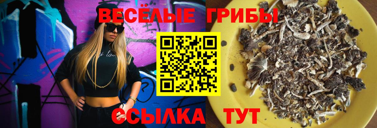 Псилоцибиновые грибы мухоморы  Вход с VPN  Надым 